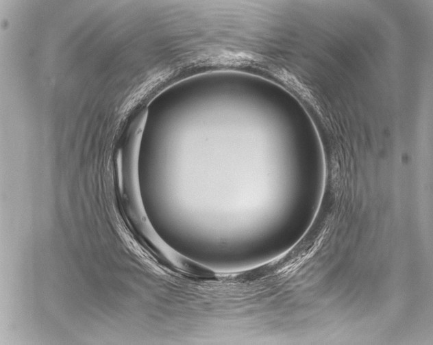 X0000059810581200510211119