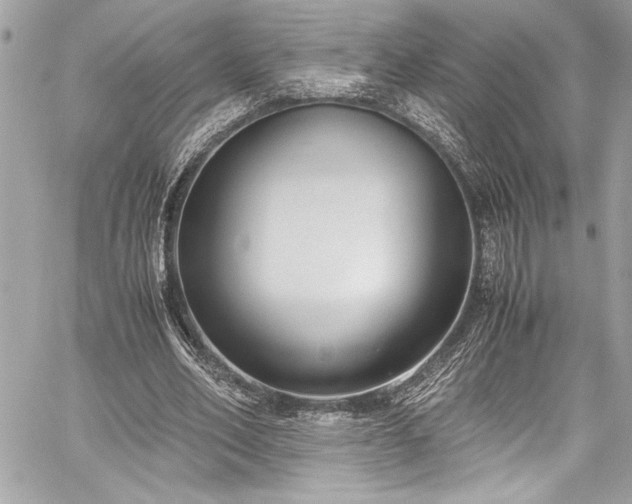 X0000059810582200510211119