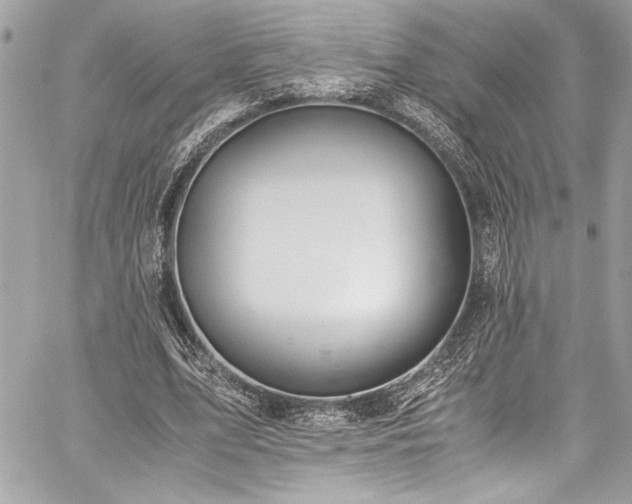 X0000059810583200510211119