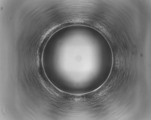 X0000059810584200510211119