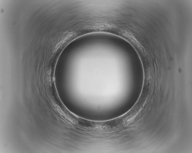 X0000059810585200510211119