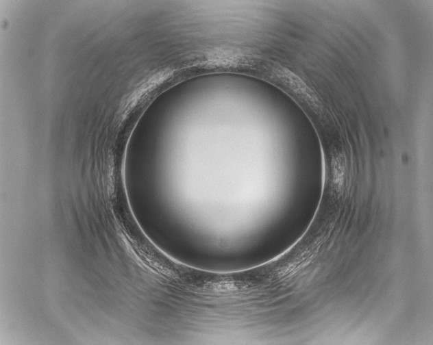 X0000059810588200510211119