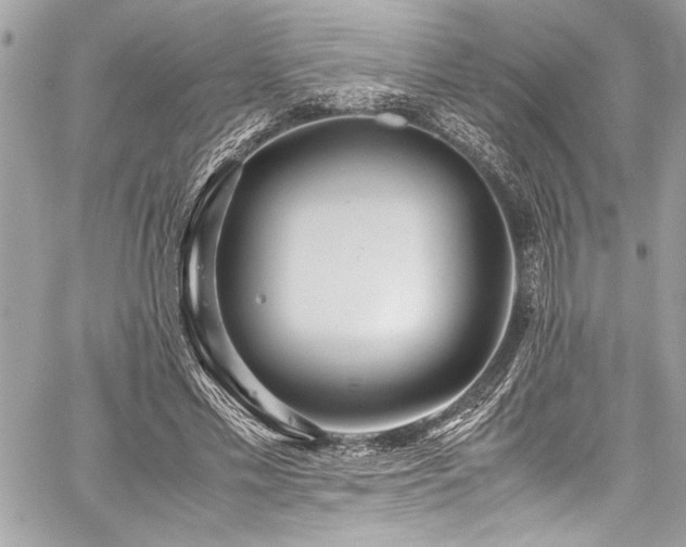 X0000059810589200510211119