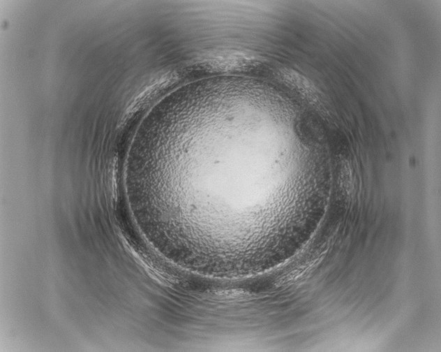 X0000059810590200510211119