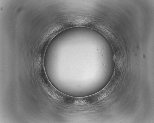 X0000059810591200510211119