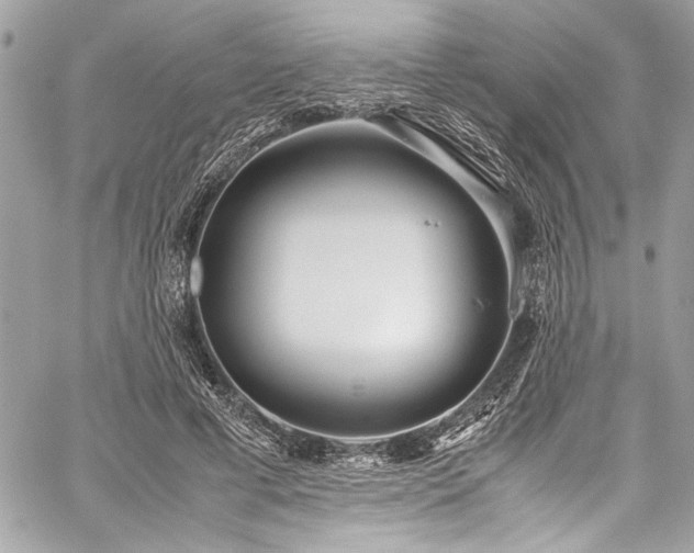 X0000059810593200510211119