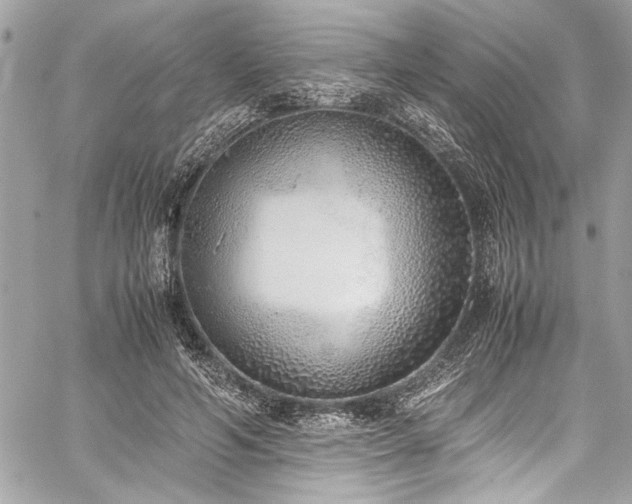 X0000059810594200510211119