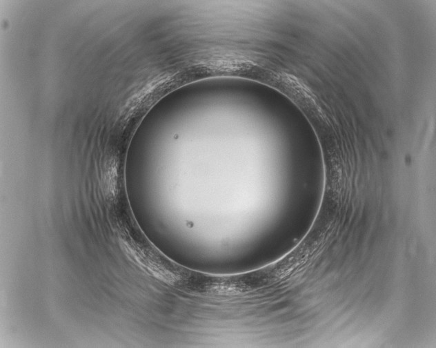 X0000059810596200510211119