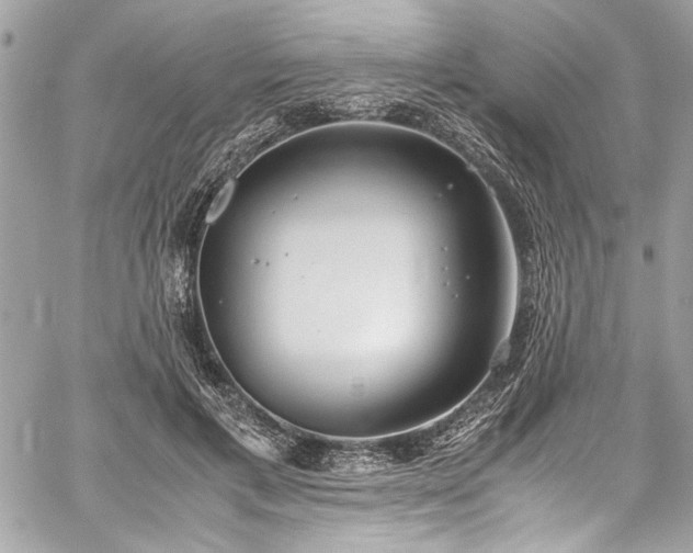 X0000059810597200510211119