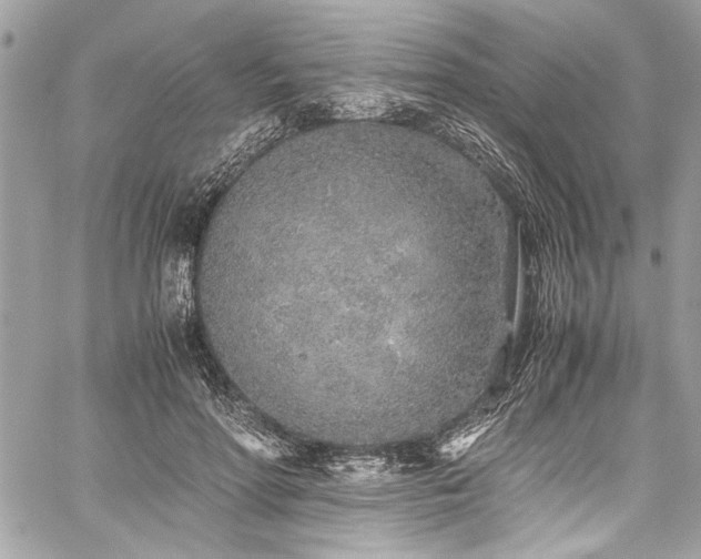 X0000059810598200510211119