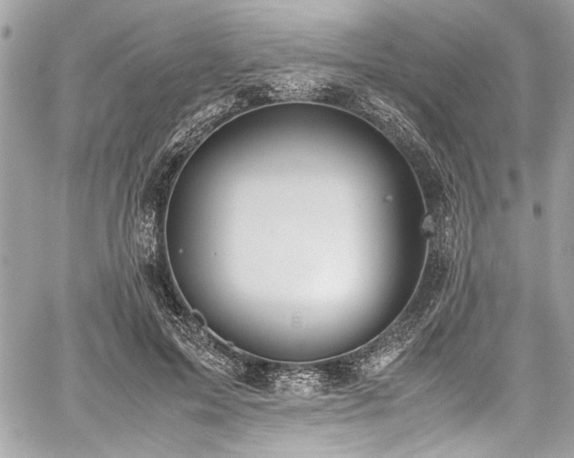 X0000059810599200510211119