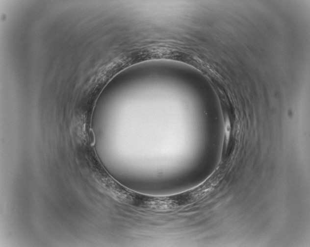 X0000059810615200510211118