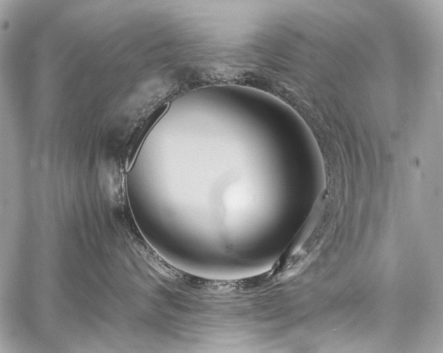 X0000059810624200510211118