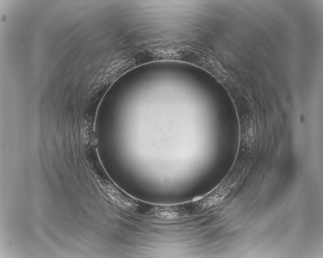 X0000059810658200510211118