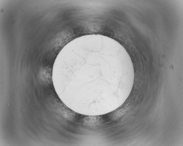 X0000059810672200510211118