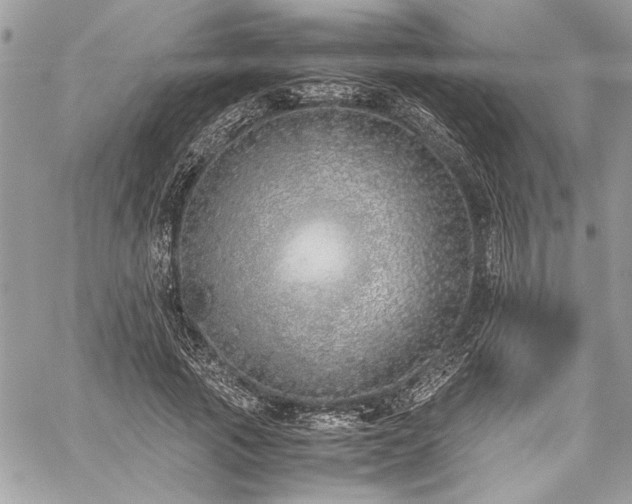 X0000059810737200510211116