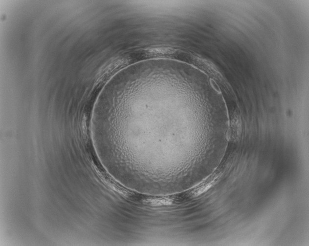 X0000059810765200510211116