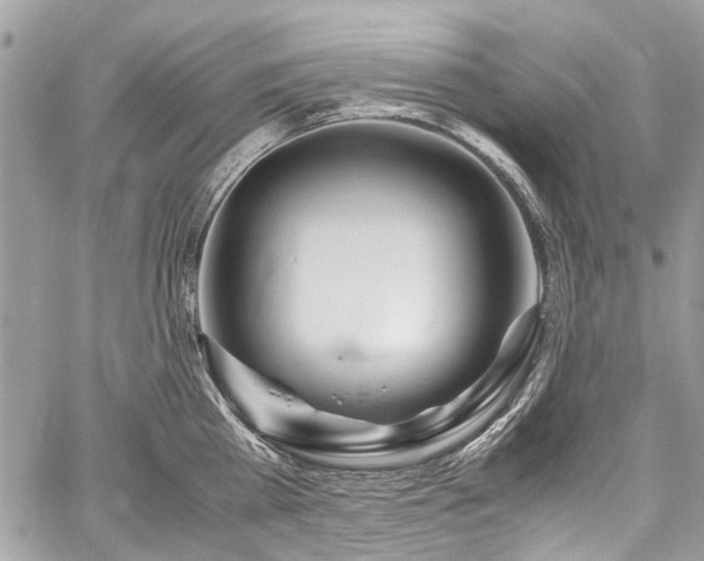 X0000059810809200510211115