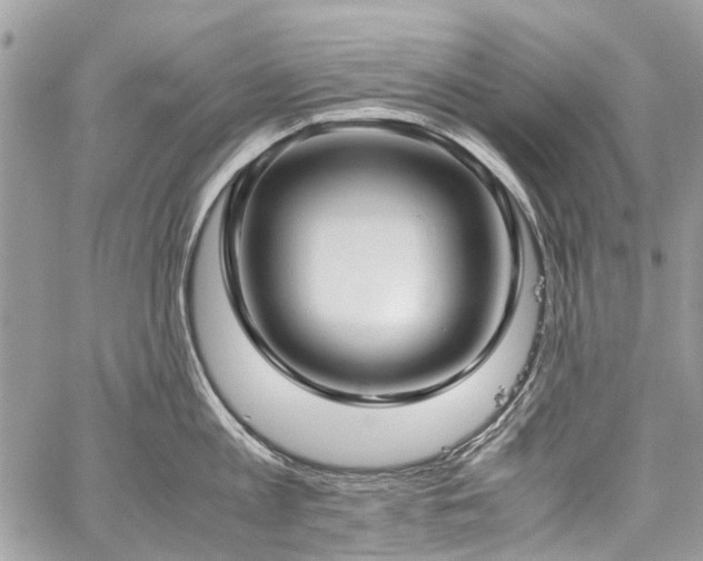 X0000059810813200510211115