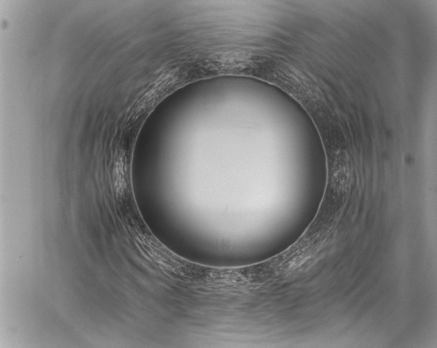 X0000059810866200510211114
