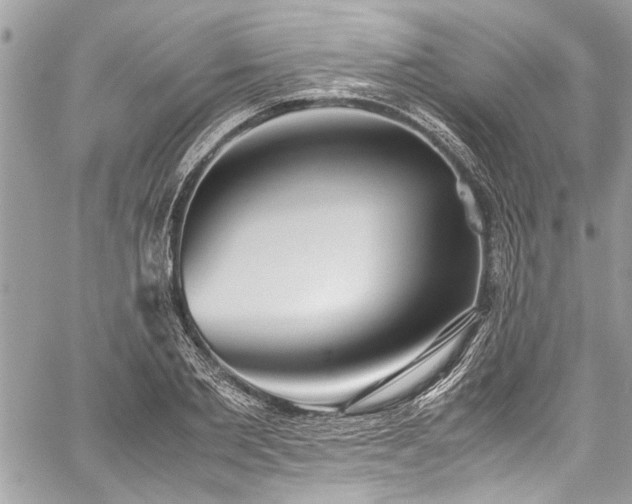 X0000059810885200510211114