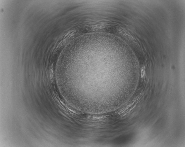 X0000059811011200510211111