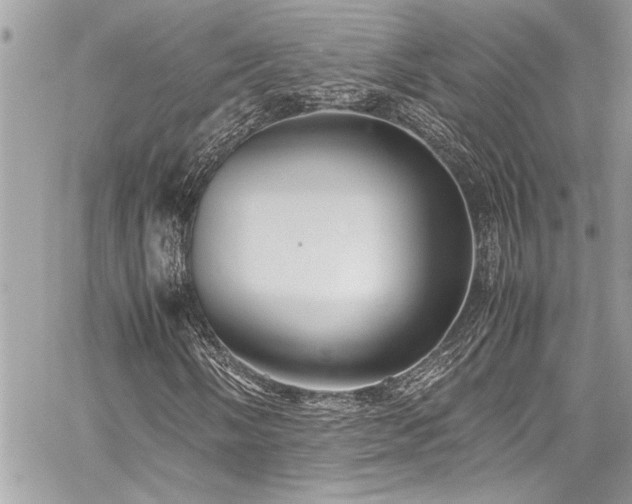 X0000059811058200510211111
