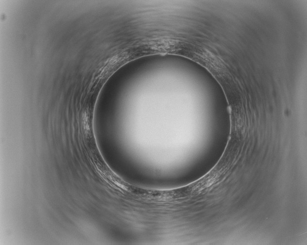 X0000059811106200510211110