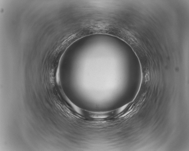 X0000059811156200510211109