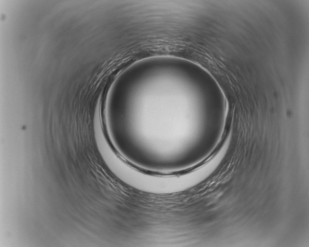 X0000059811202200510211108