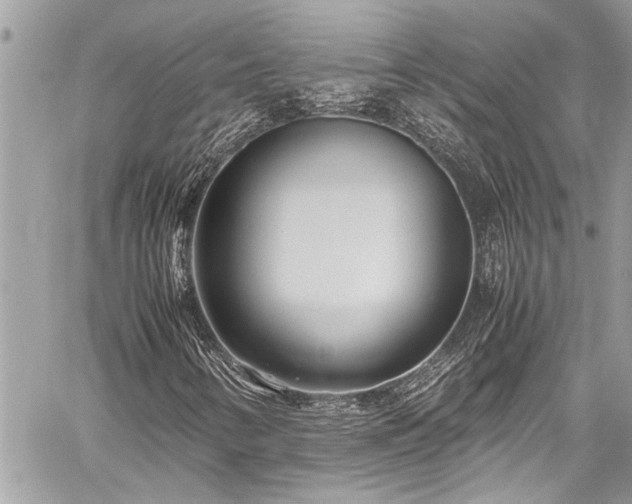 X0000059811346200510211106