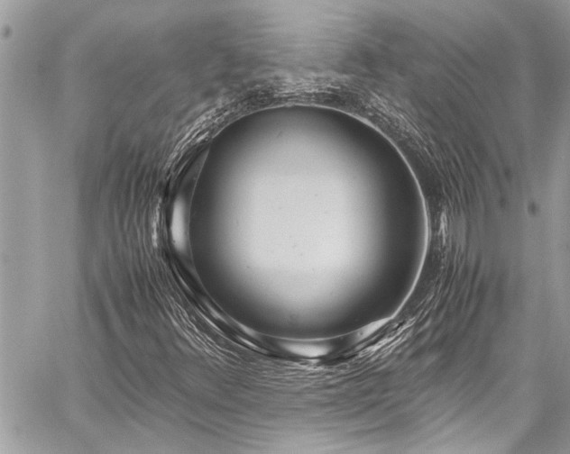 X0000059811348200510211106