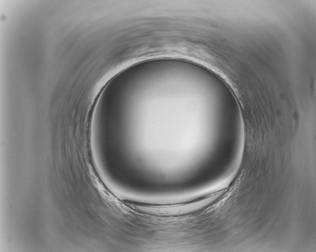 X0000059811534200510211104