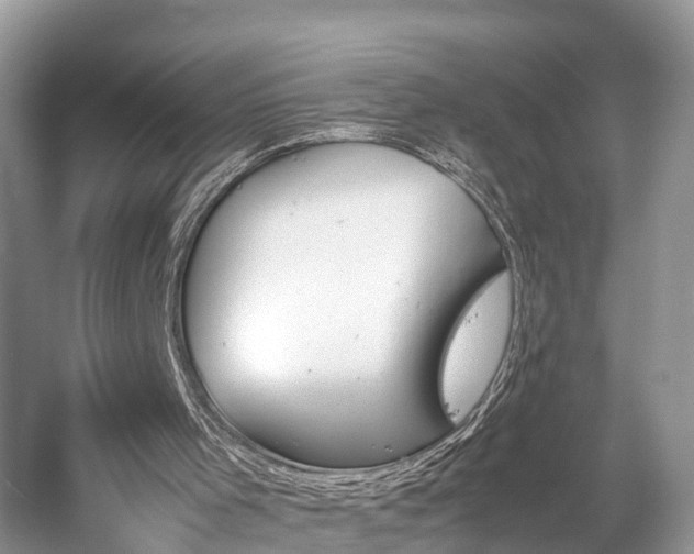 X0000059810001200510241407