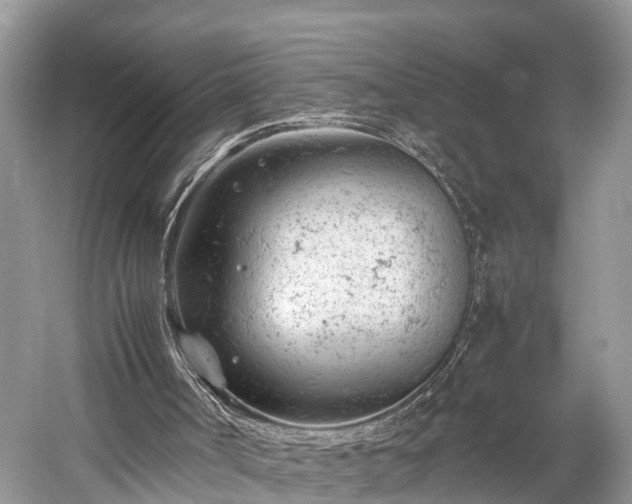 X0000059810002200510241407