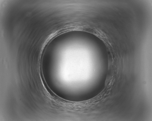 X0000059810003200510241407