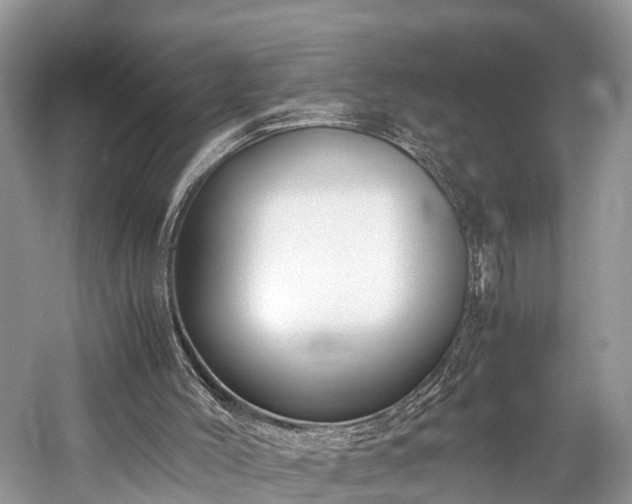 X0000059810004200510241407