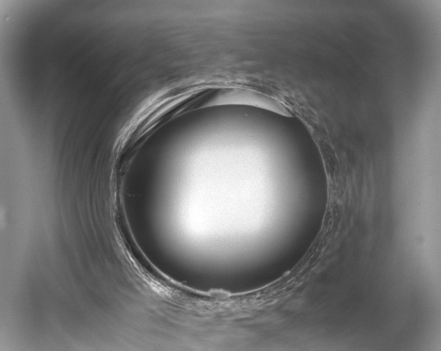 X0000059810005200510241407