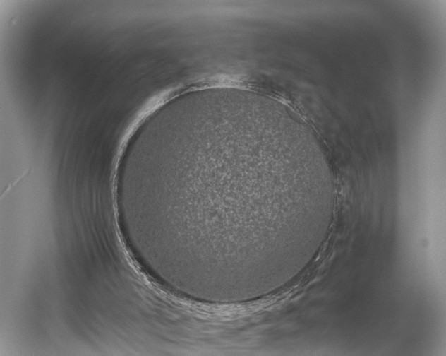 X0000059810006200510241407