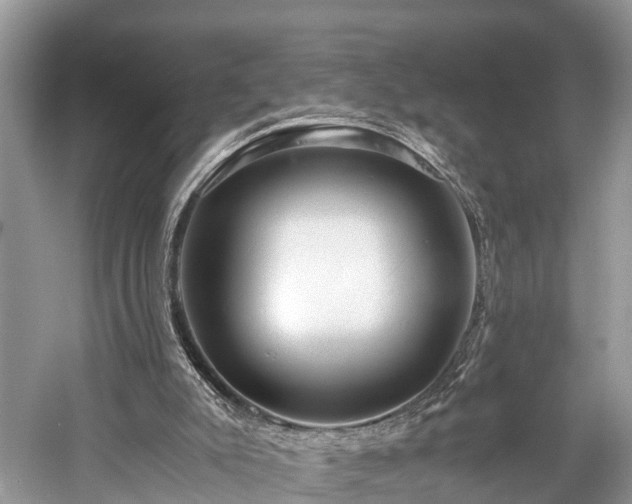 X0000059810007200510241407