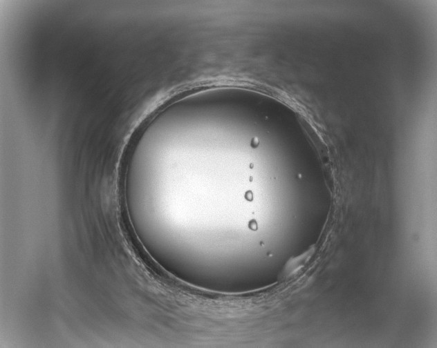 X0000059810008200510241407