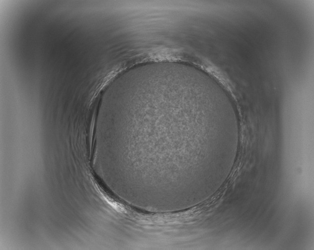 X0000059810009200510241407