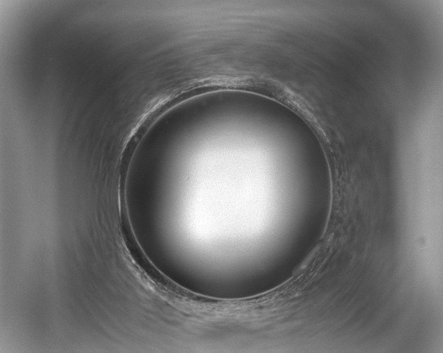 X0000059810011200510241407