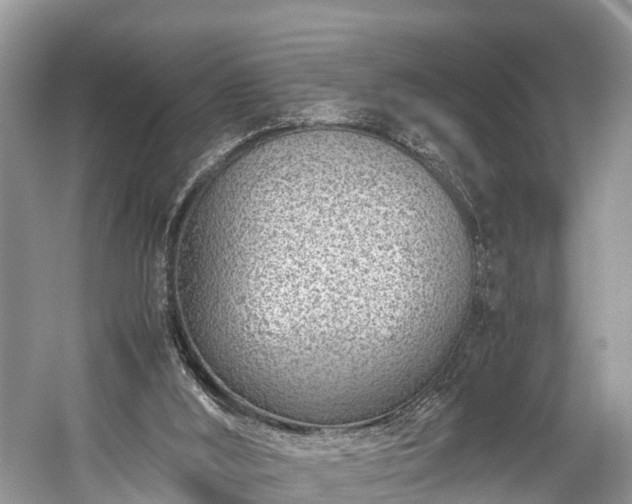 X0000059810012200510241407