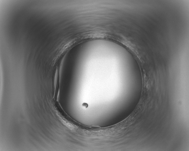 X0000059810013200510241407