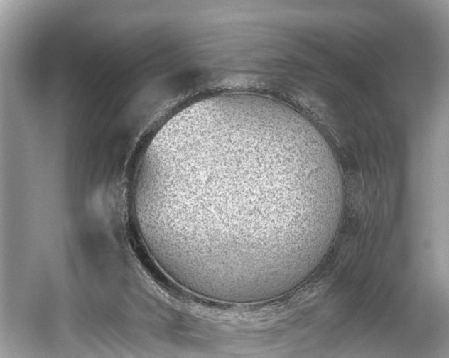 X0000059810016200510241407