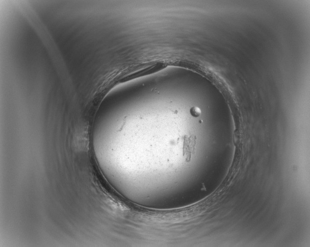 X0000059810017200510241407