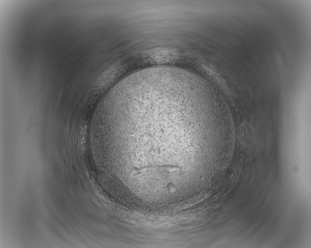 X0000059810018200510241407