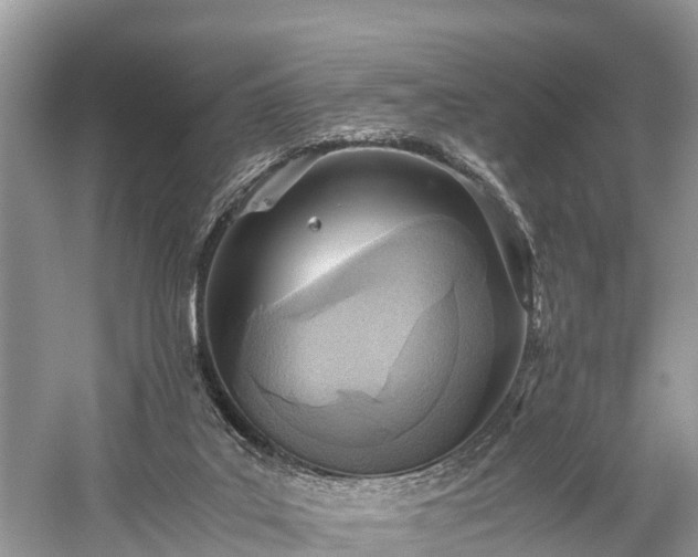 X0000059810019200510241407