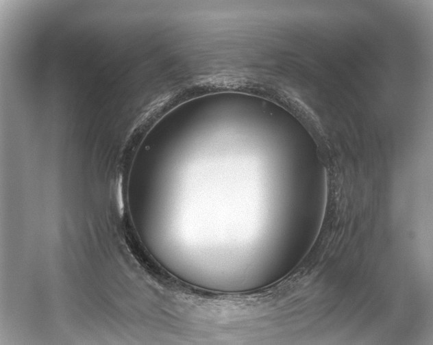 X0000059810020200510241407